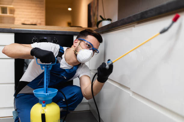 Best Pest Inspection Near Me  in Copper Canyon, TX