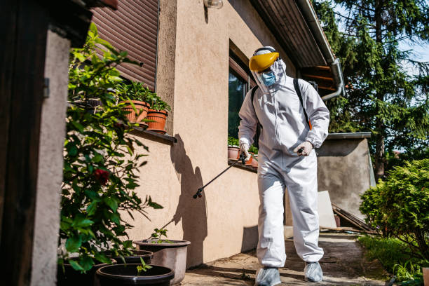 Best Affordable Pest Control Services  in Copper Canyon, TX