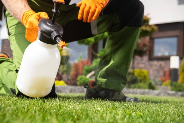 Best Local Pest Control Services  in Copper Canyon, TX