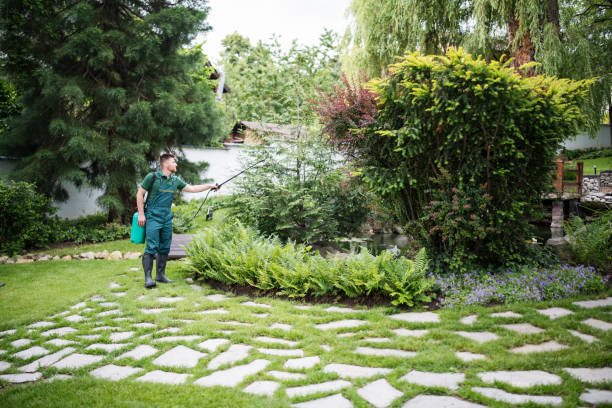 Best Wasp Removal Services  in Copper Canyon, TX