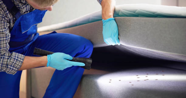 Pest Control Cost in Copper Canyon, TX