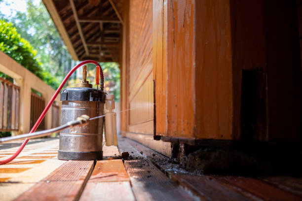 Best Affordable Pest Control Services  in Copper Canyon, TX