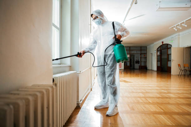 Professional Pest Control in Copper Canyon, TX